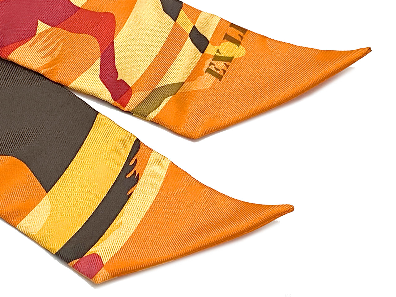 エルメス/ツイリー 【EX LIBRIS EN CAMOUFLAGE（エクスリブリスのカモフラージュ）】